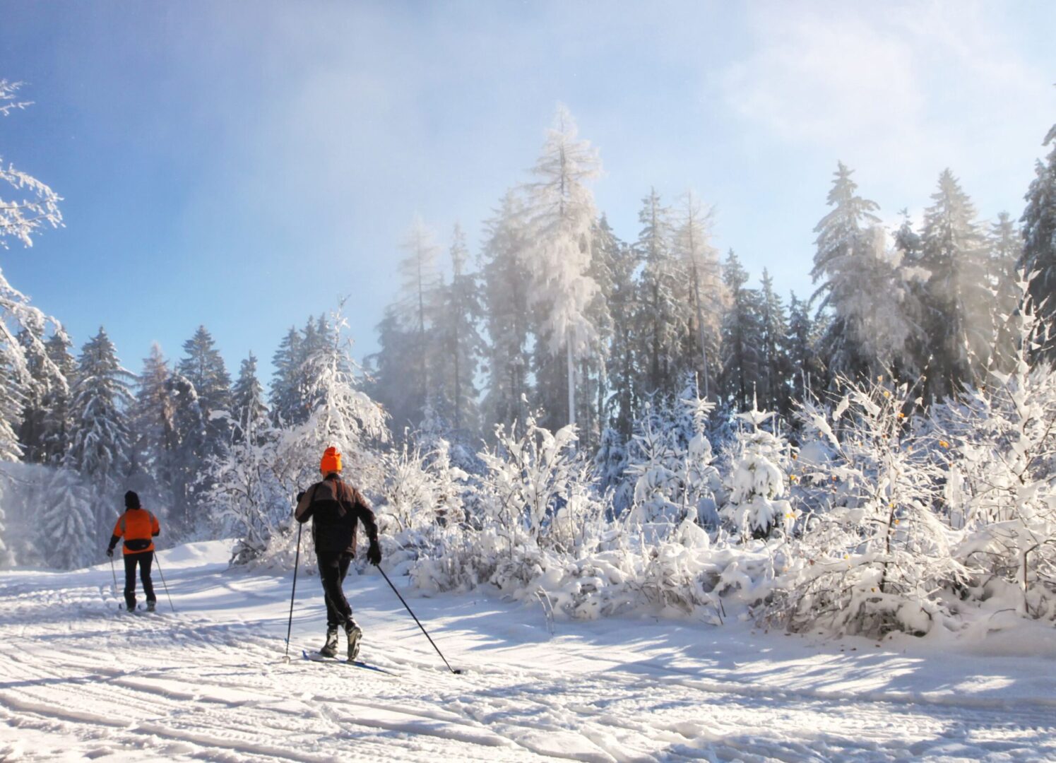 Langläufer im Schnee