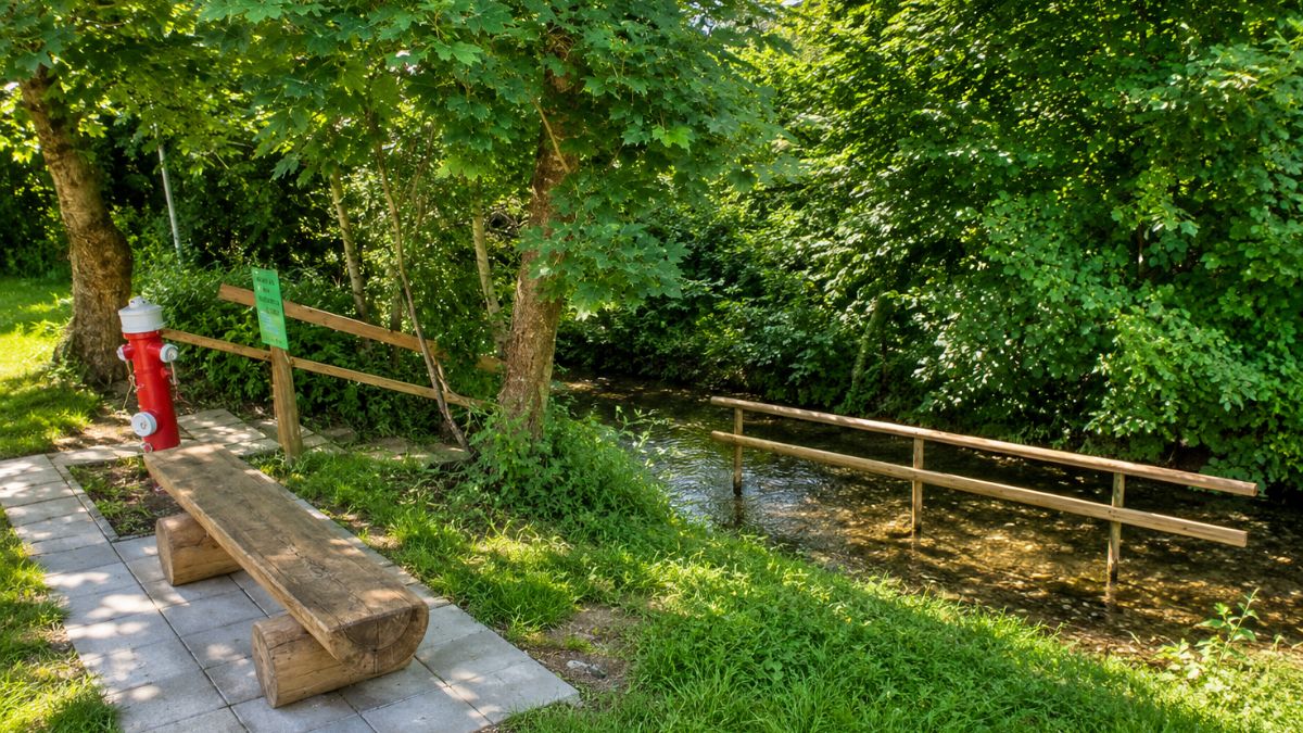 Natürliches Kneippbecken im Bach, hölzerner Handlauf, Holzbank aus einem Baumstamm unter Ahorn- und sonstigen Laubbäumen.